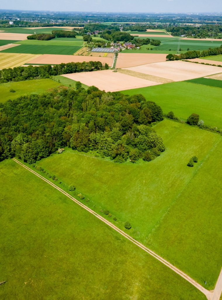 Farmland from above. Aerial view over green fields